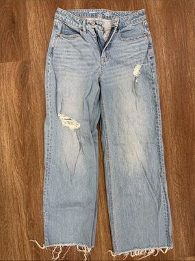 Curvy Sky-Hi Wide Leg Light Blue Distressed Women's Jeans